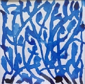 04-plante bleue 15x15 cm.jpg